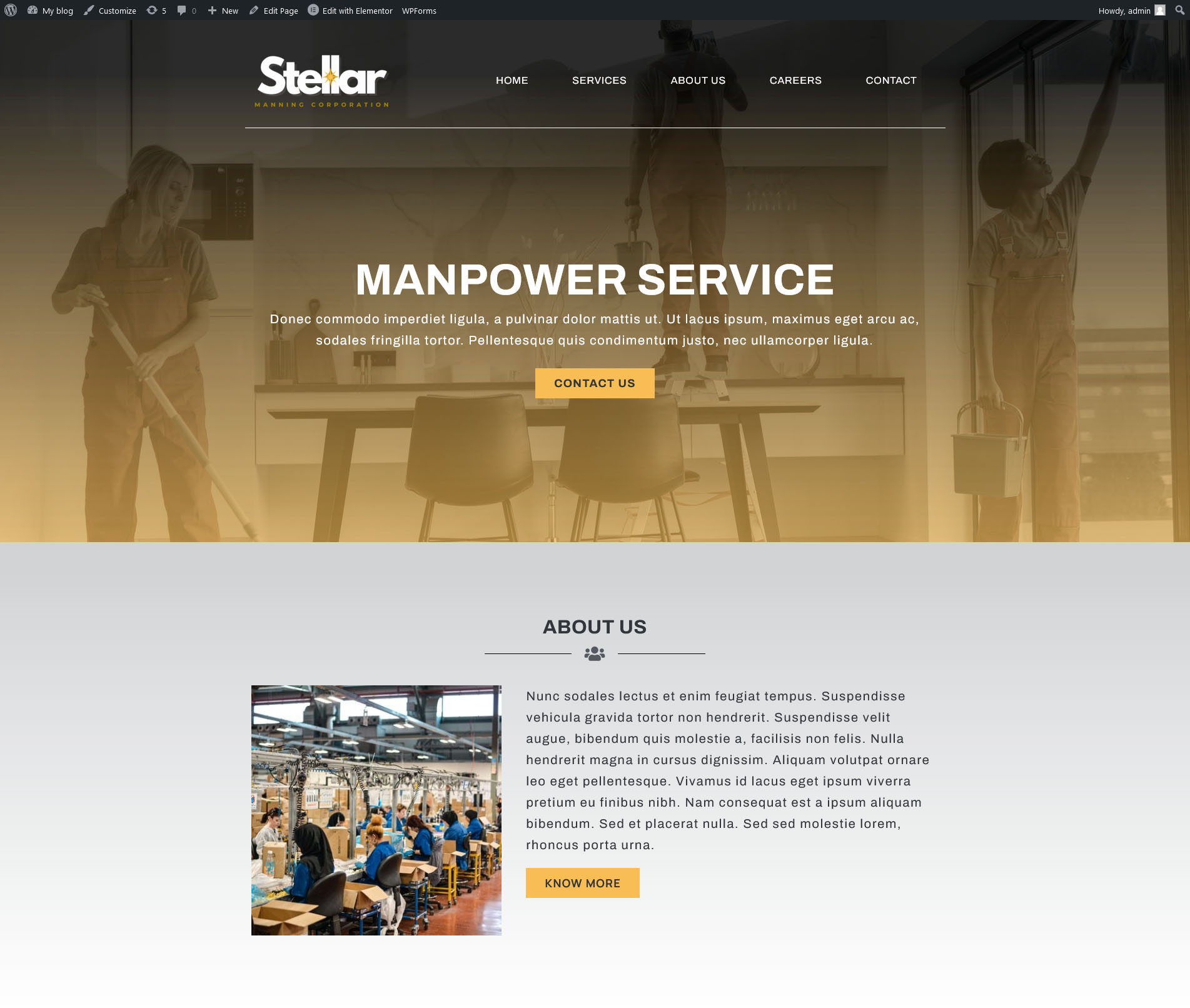 Stellar Web Design Studies